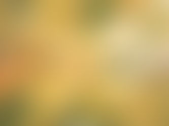 Holistic Wellness for Neurodivergent Individuals: Practical Approaches That Celebrate Your Unique Needs and Strengths