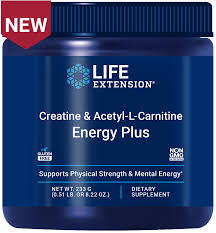 Creatine & Acetyl-L-Carnitine Energy Plus POWDER