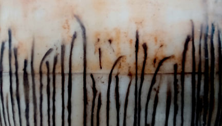 Sunset Passage - Detail 1