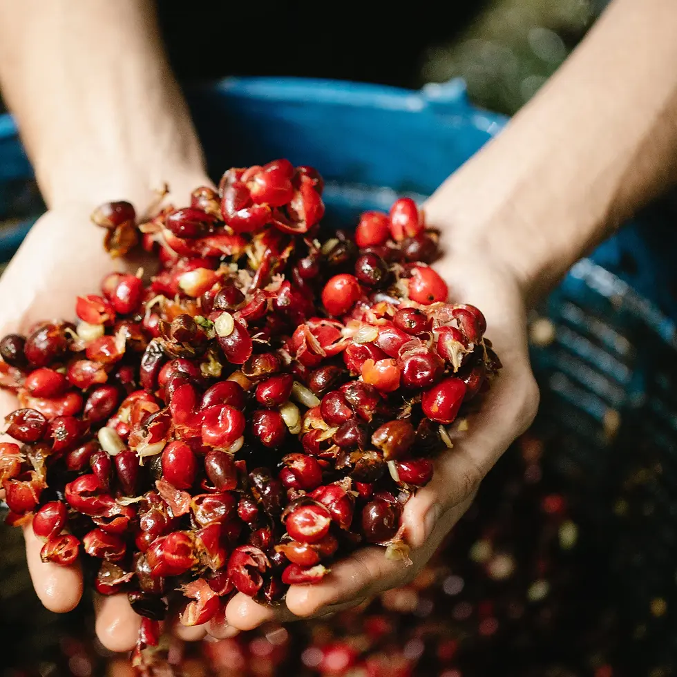 Miniaturbild: Kaska - Energy Soda