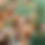 Thumbnail: Fire Starter