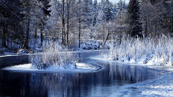 Brilliant-Image-Of-Winter-1267949682