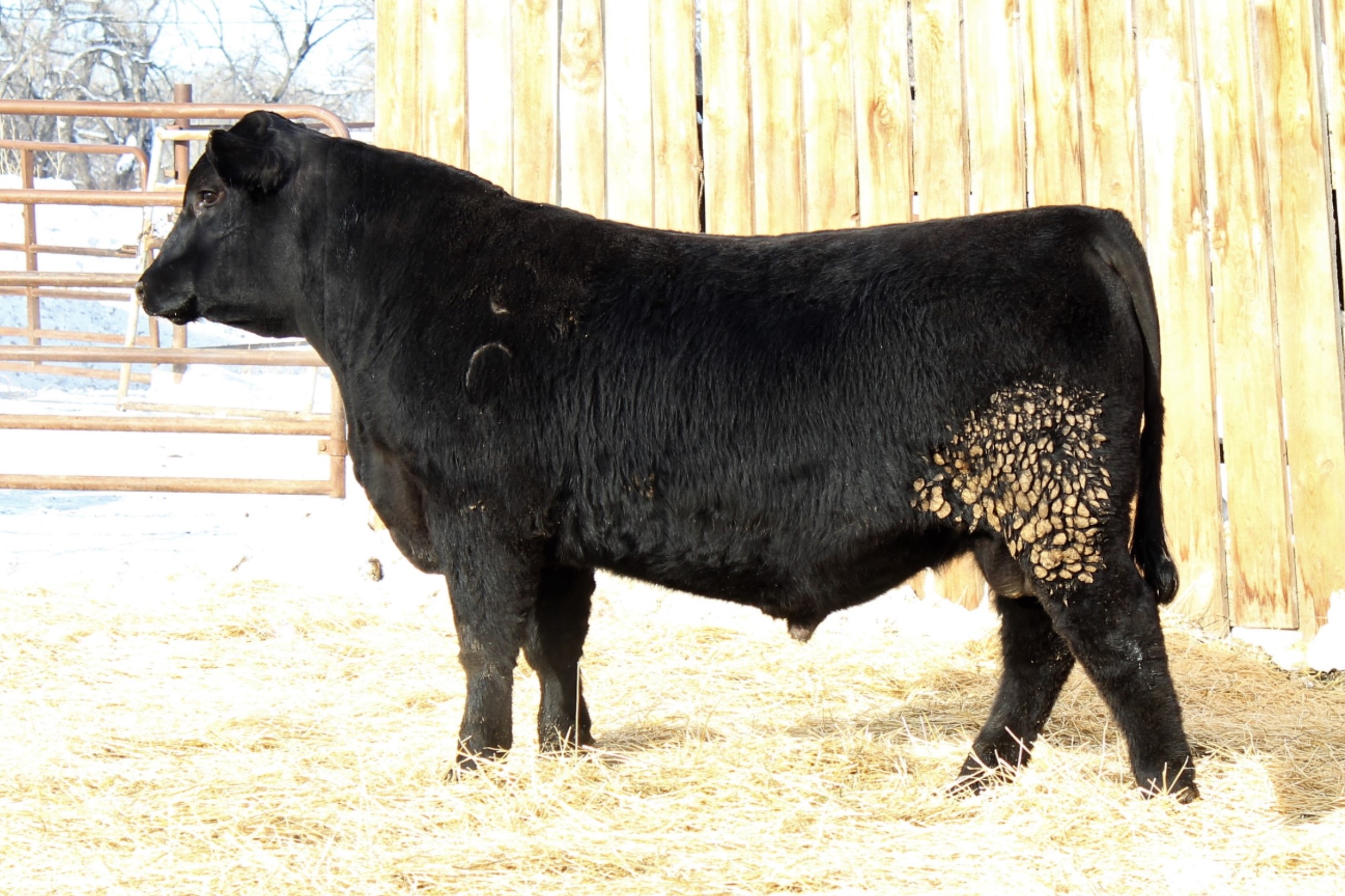 Lot 35