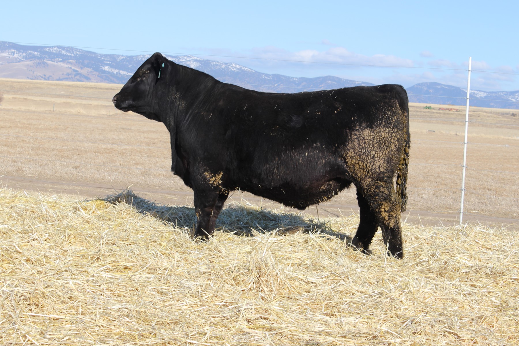 Lot 138
