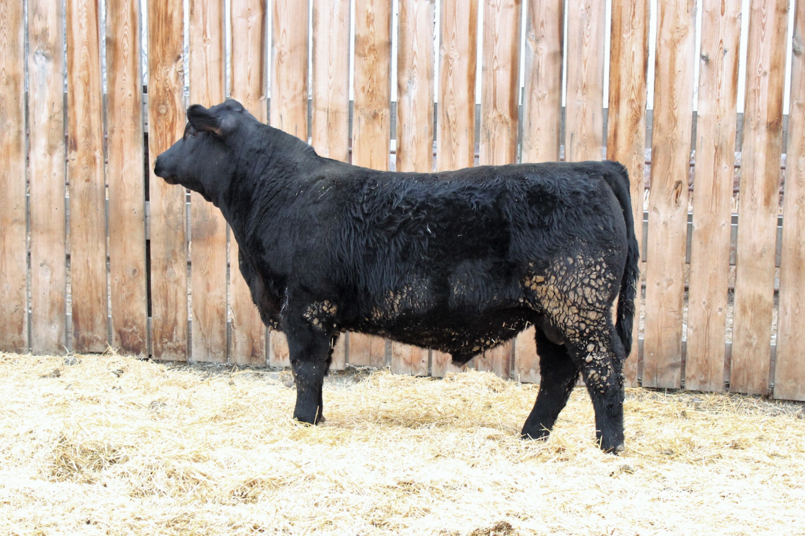 Lot 26