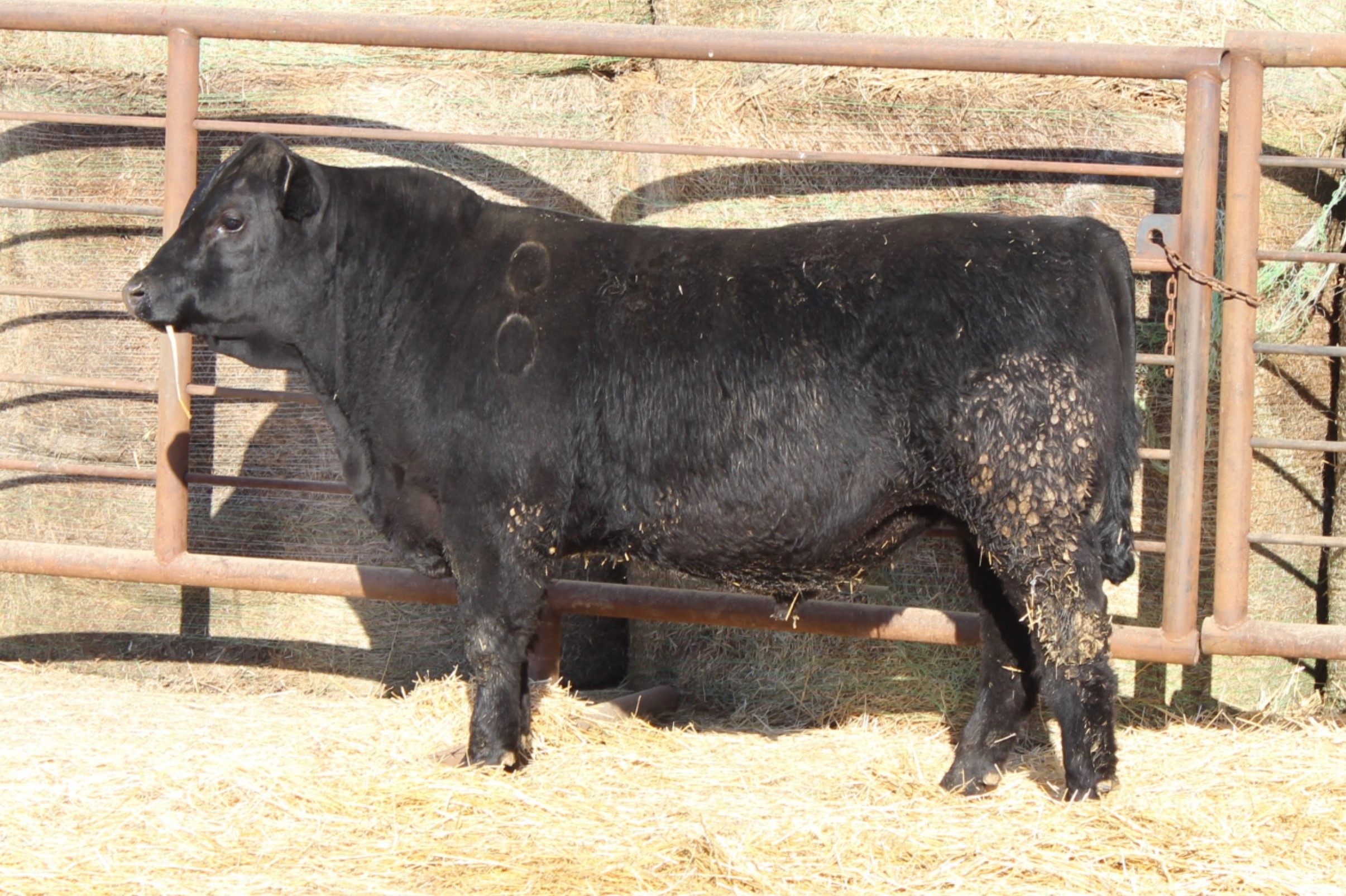 Lot 105