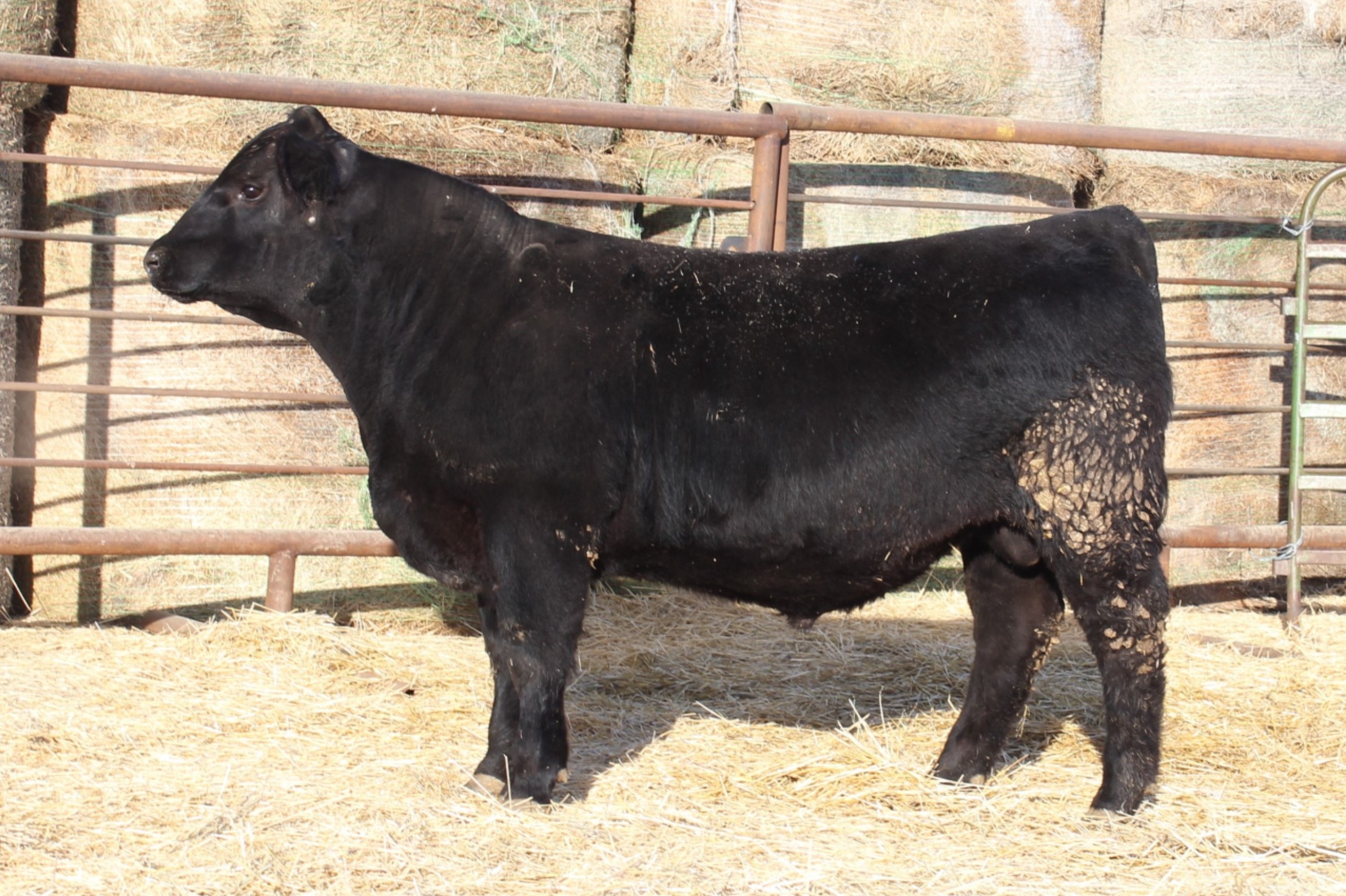 Lot 18
