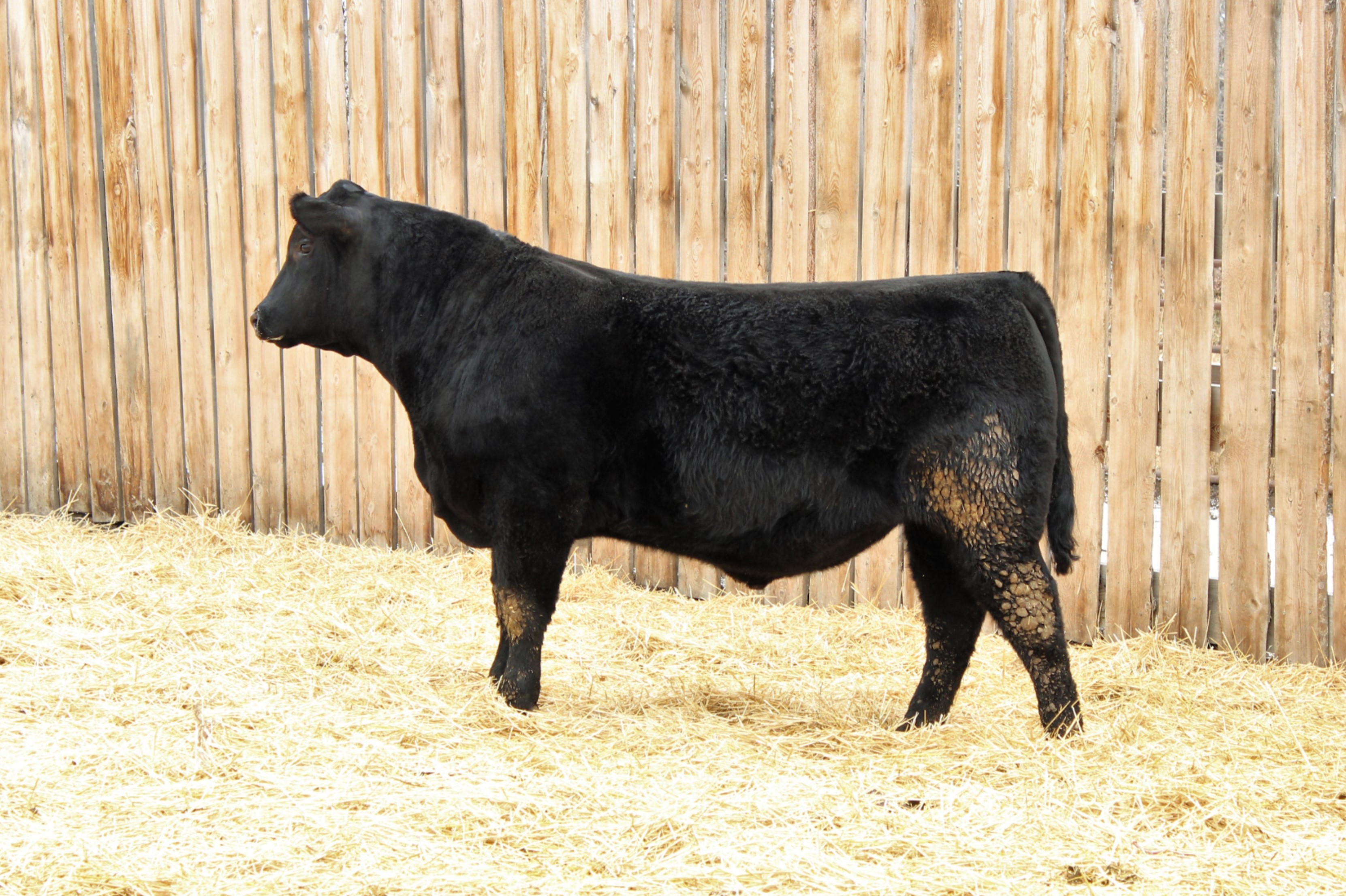 Lot 5