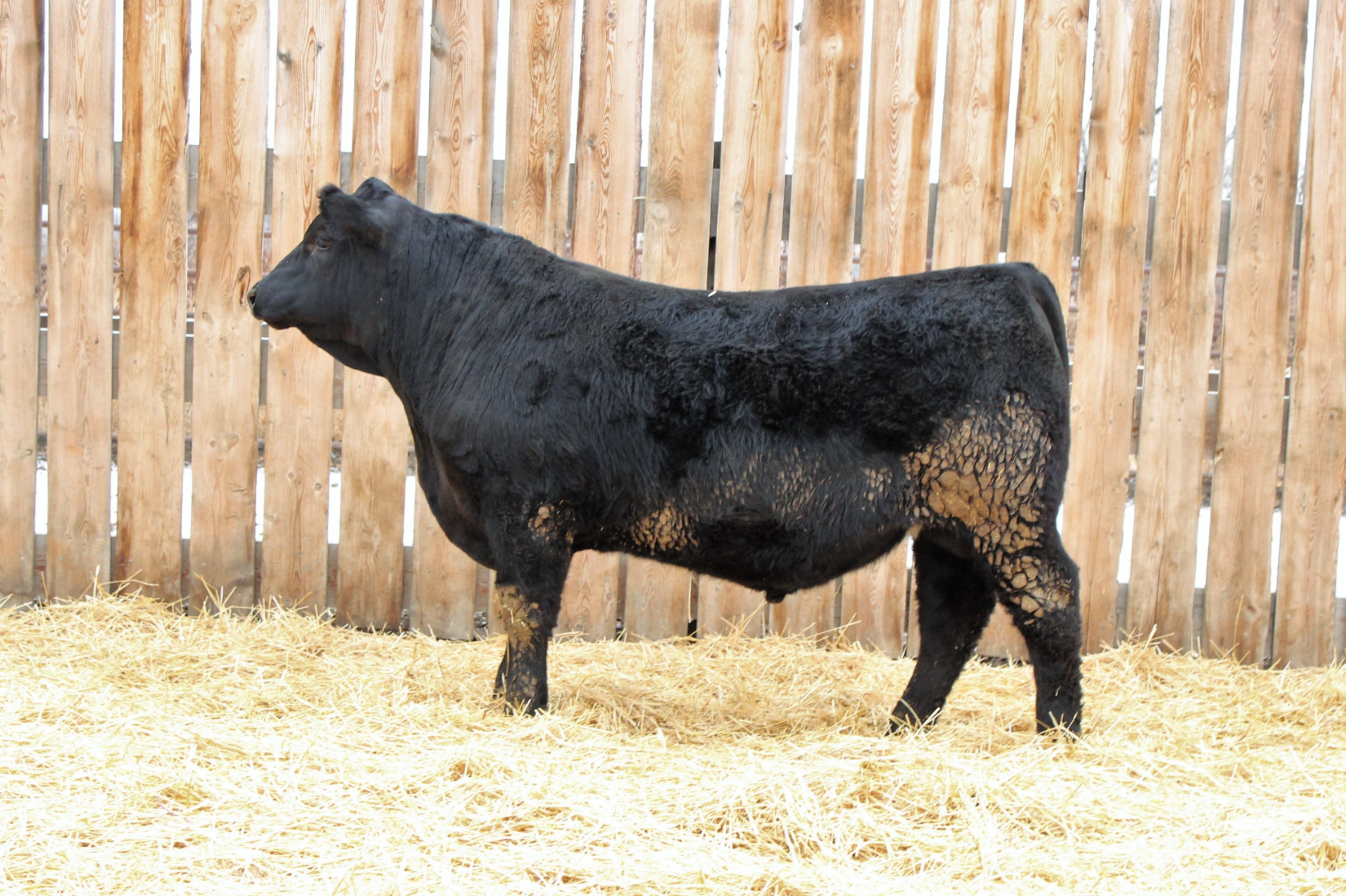 Lot 2