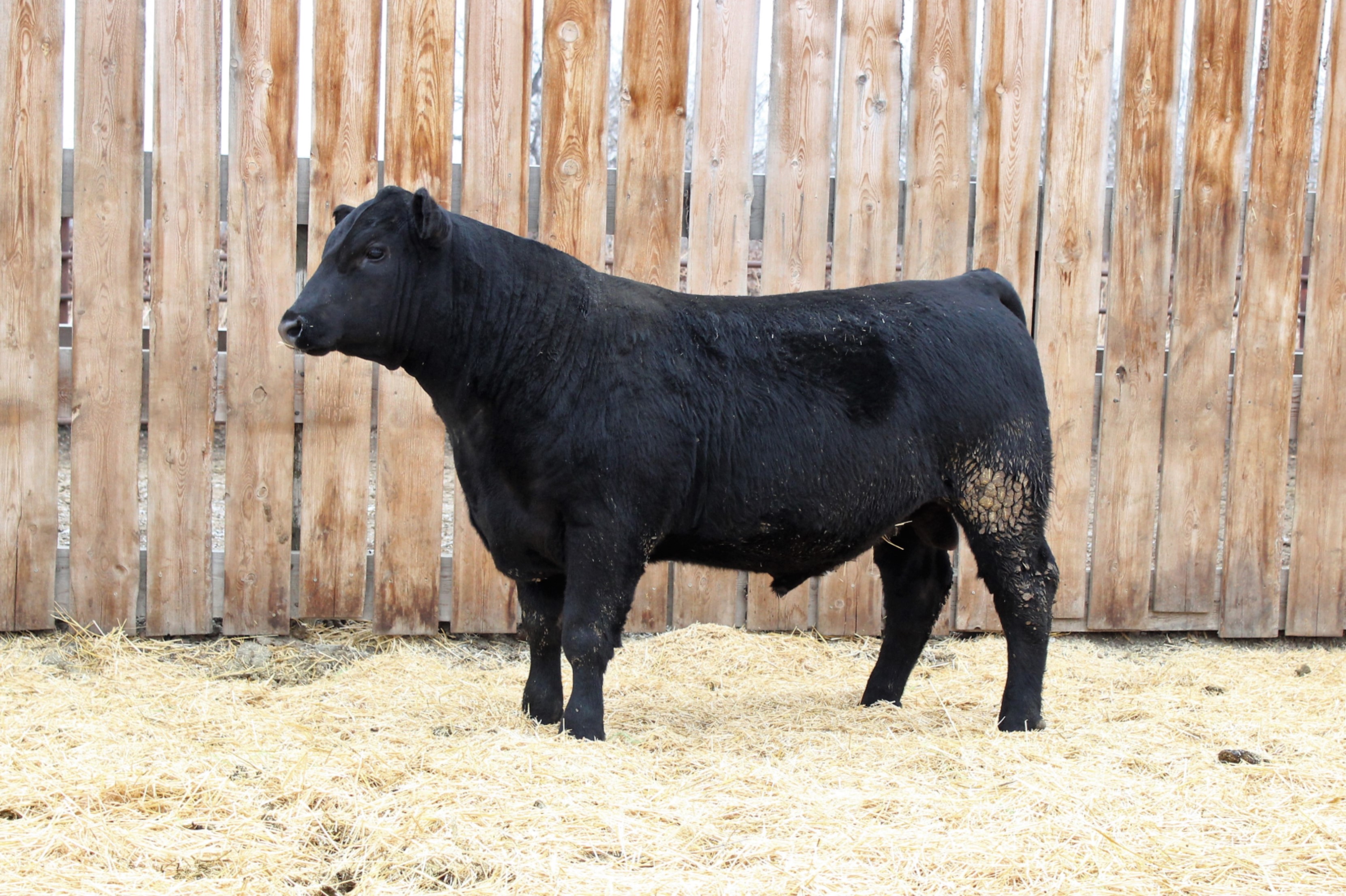 Lot 39