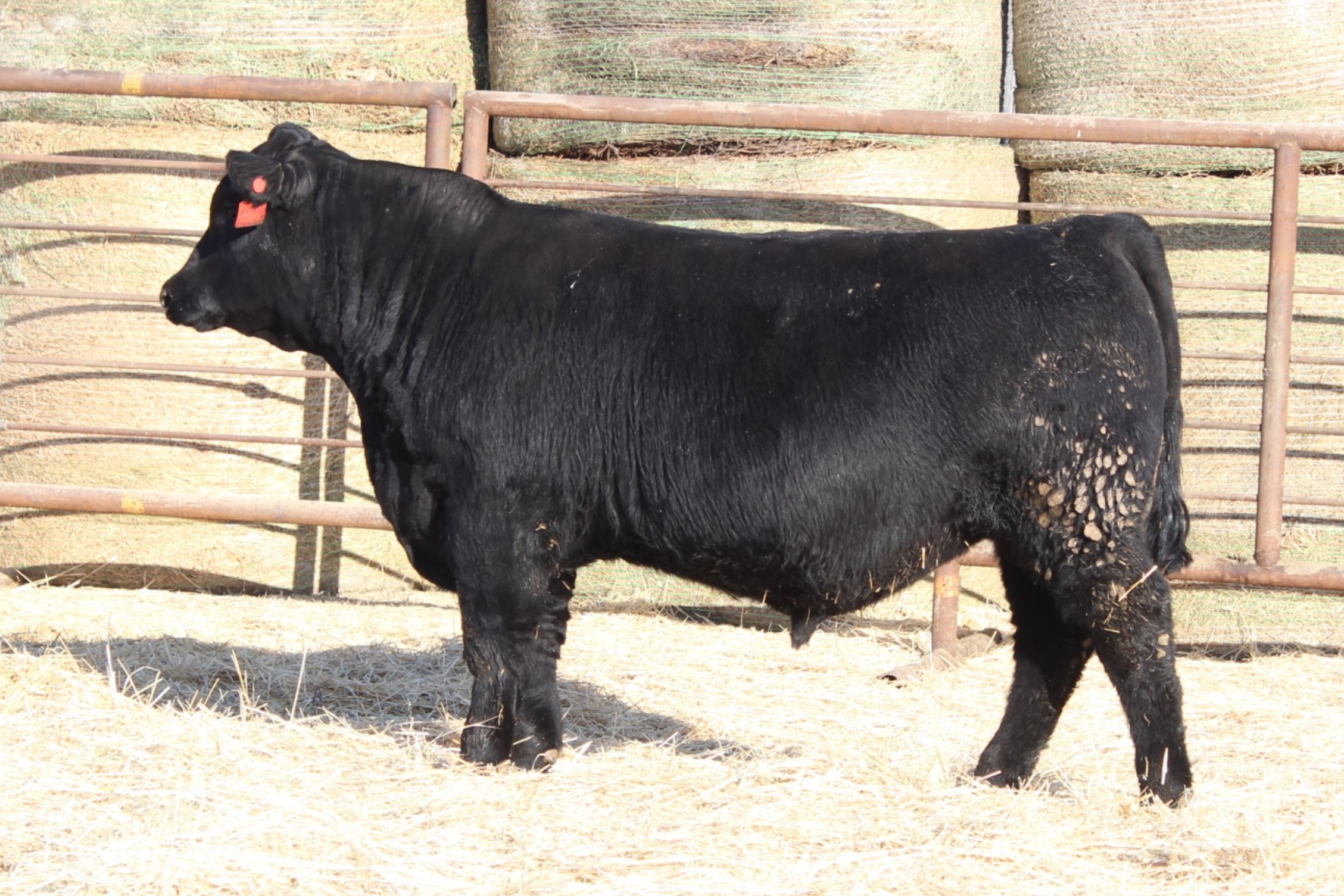 Lot 73