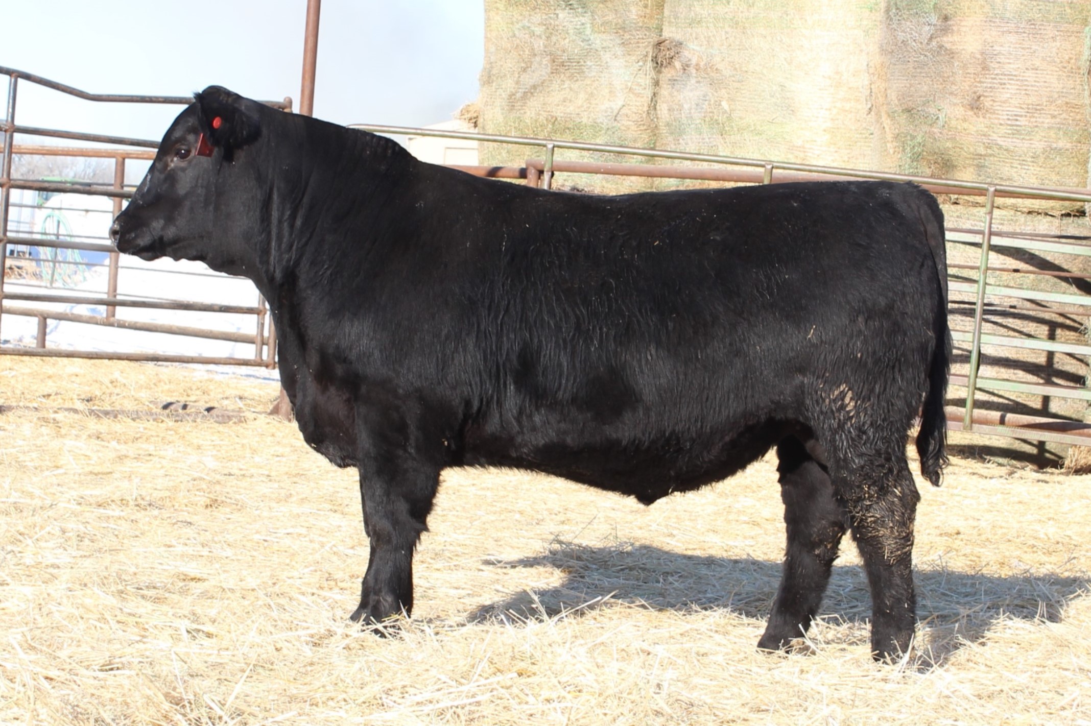Lot 25
