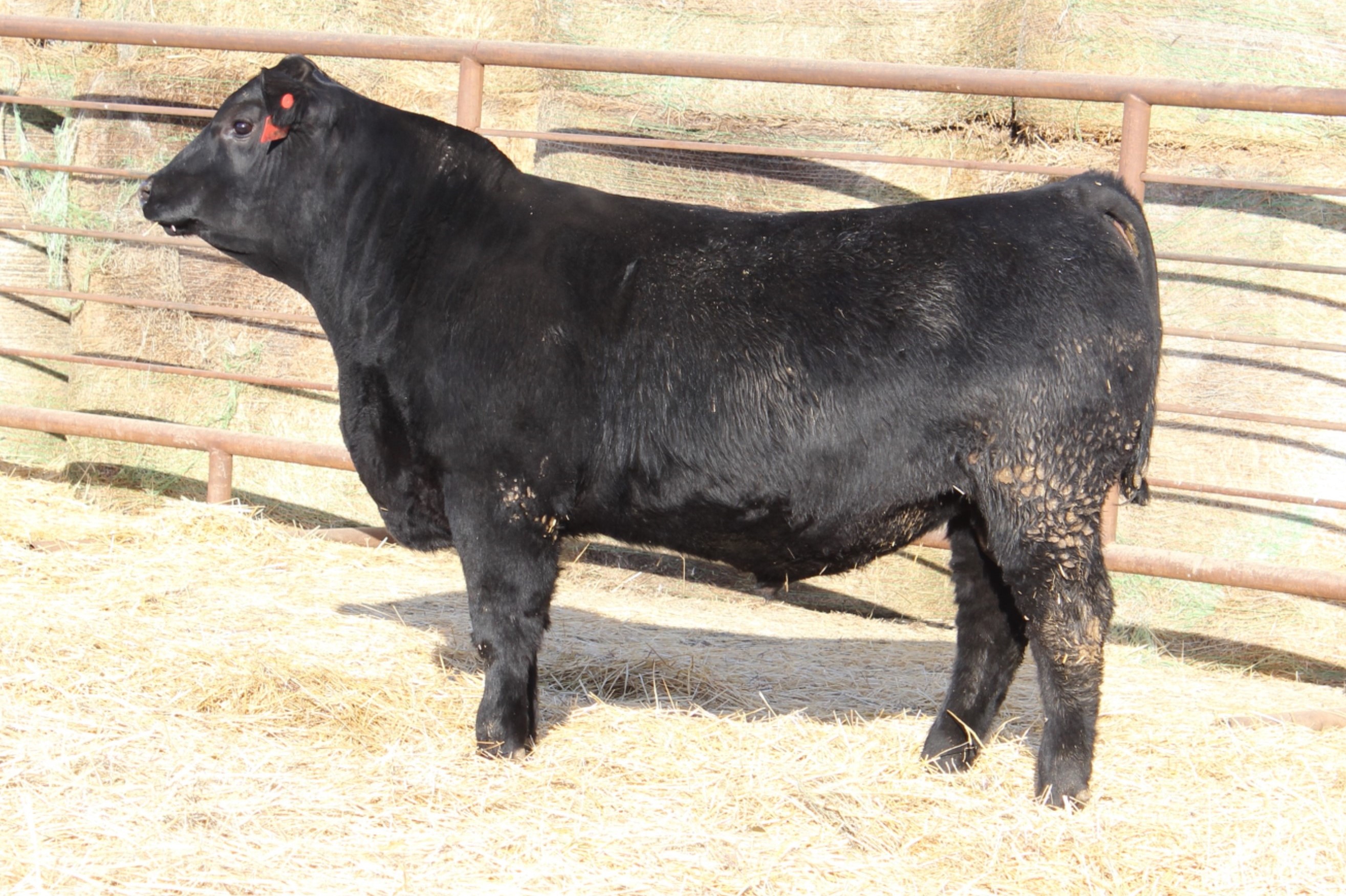 Lot 10