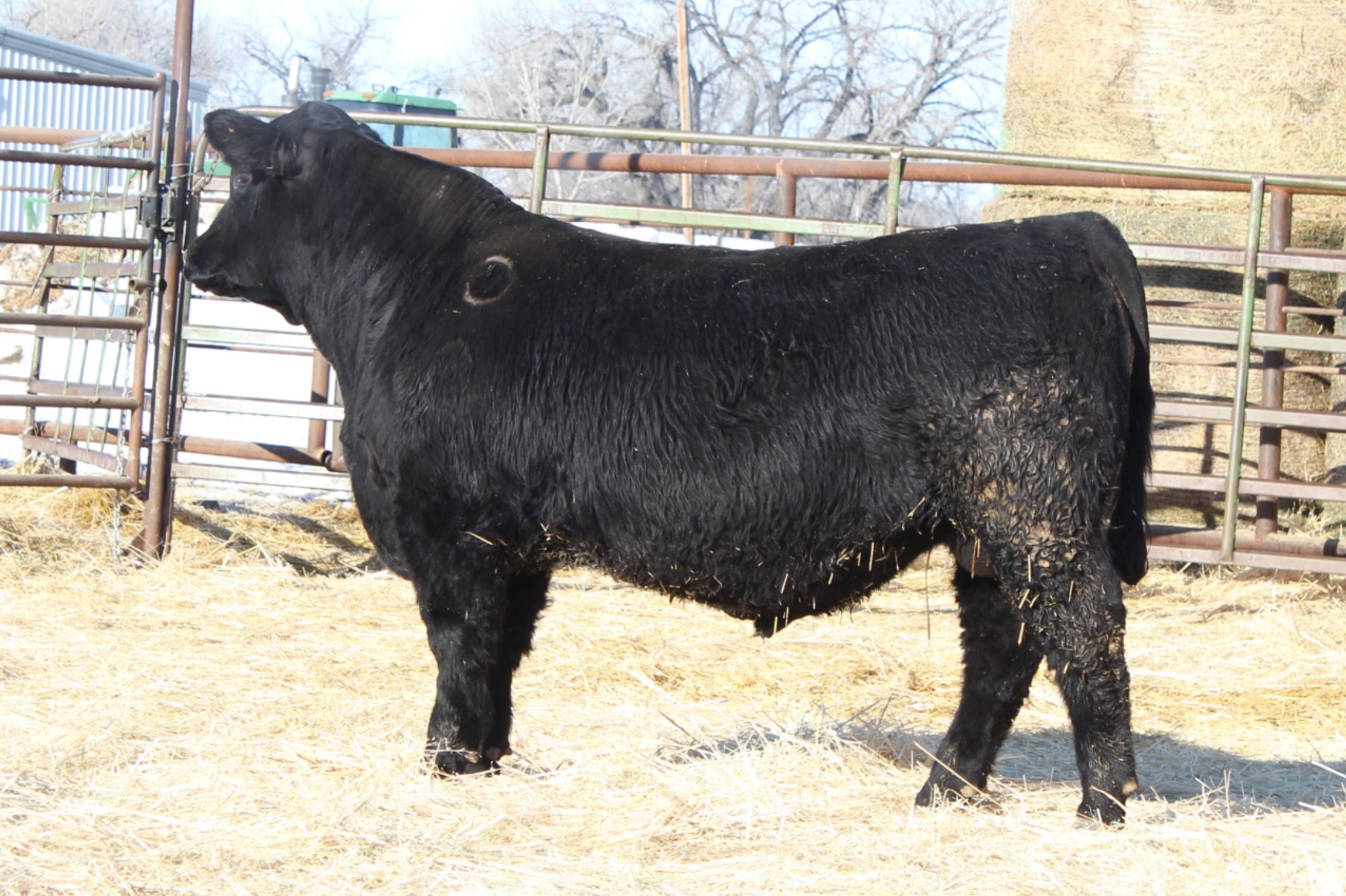Lot 91