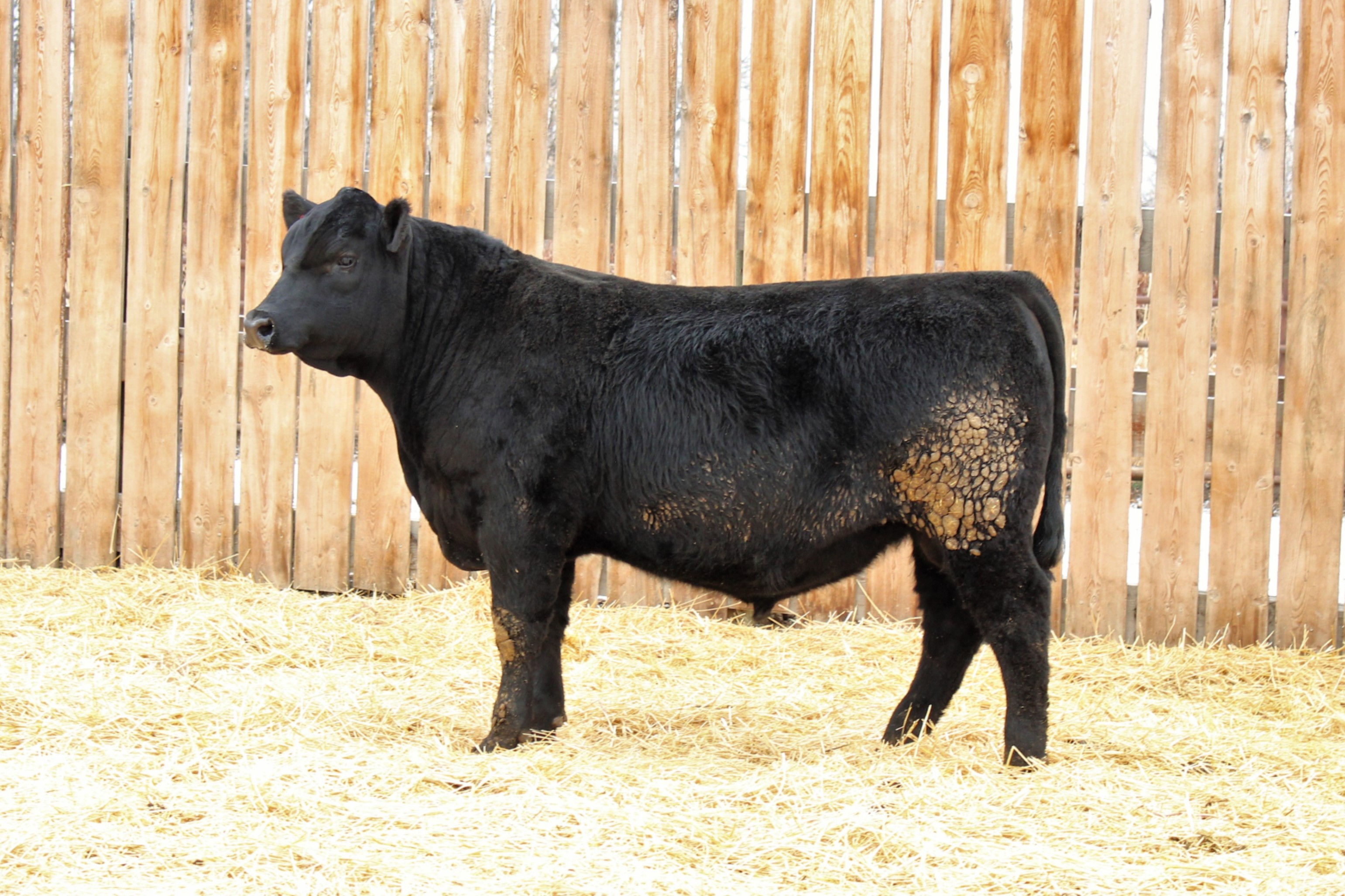 Lot 7
