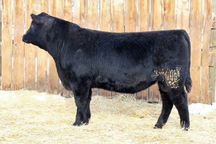 Lot 3