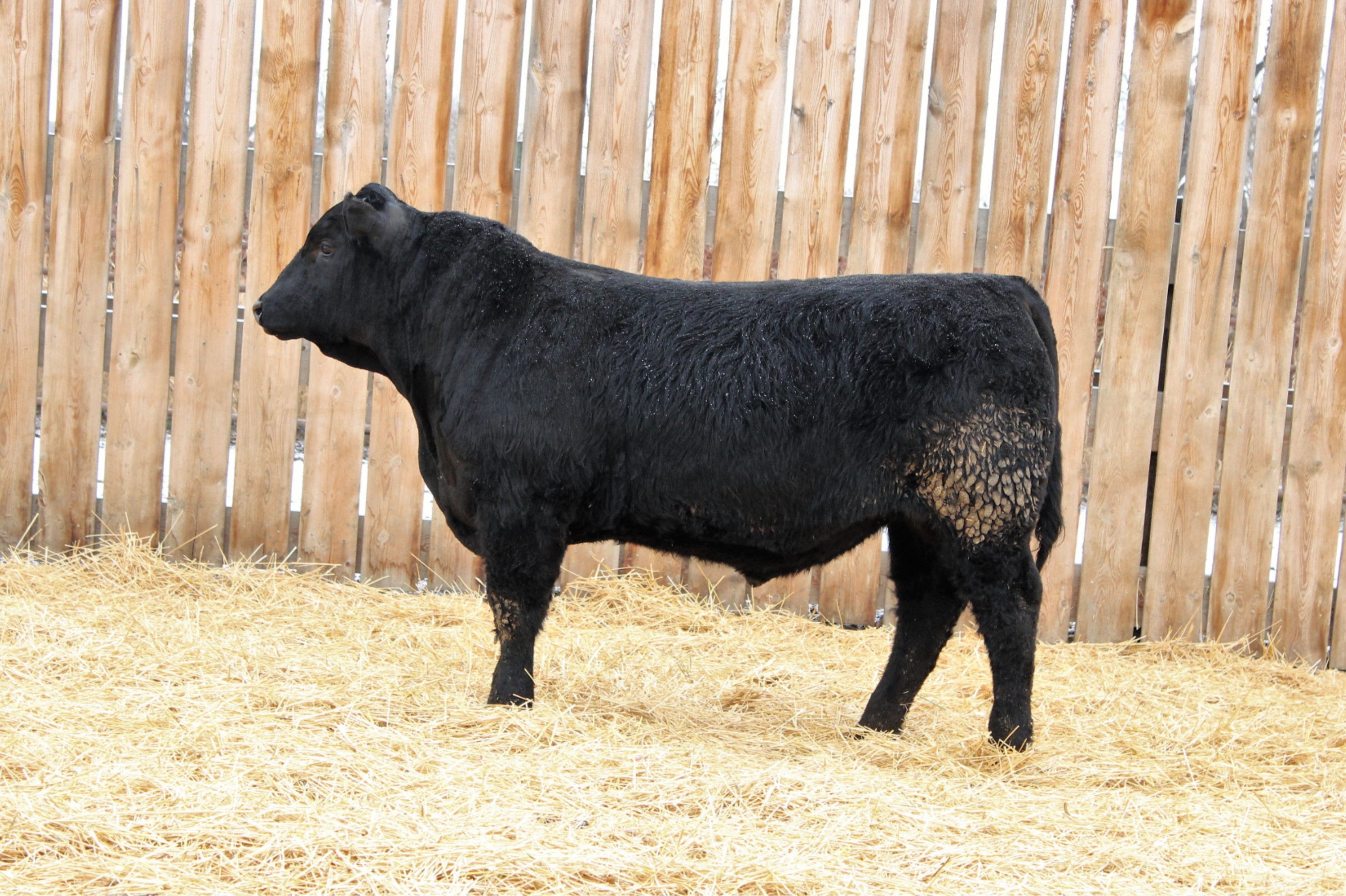Lot 93