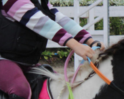 Jak powinny działać dłonie jeźdźca? Jak trzymać wodze?