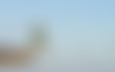 Take a Step Back Without Feedback