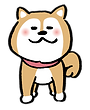 愛犬