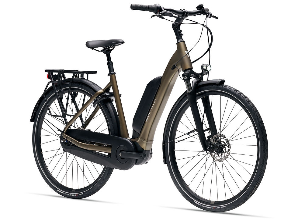 velo electrique giant