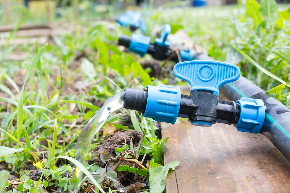 drip irrigation