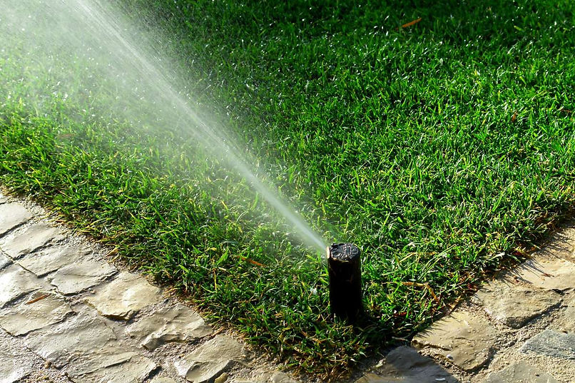 Landscape Design Dalla.jpg