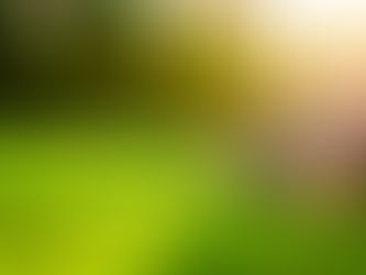 Lawn care in Richardson TX