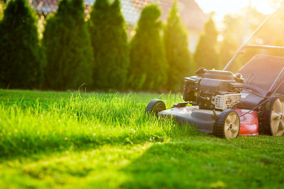 Lawn care in Richardson TX