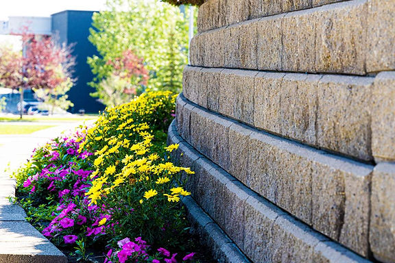 Retaining wall and erosion control.jpg