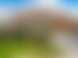 Front Yard Landscaping