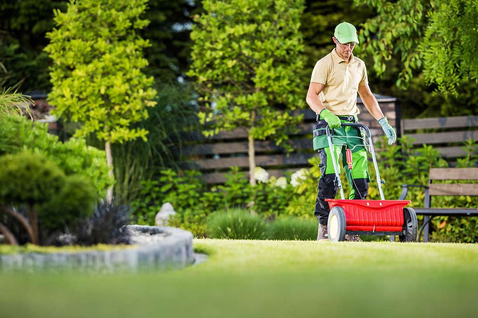 Lawn Care Services