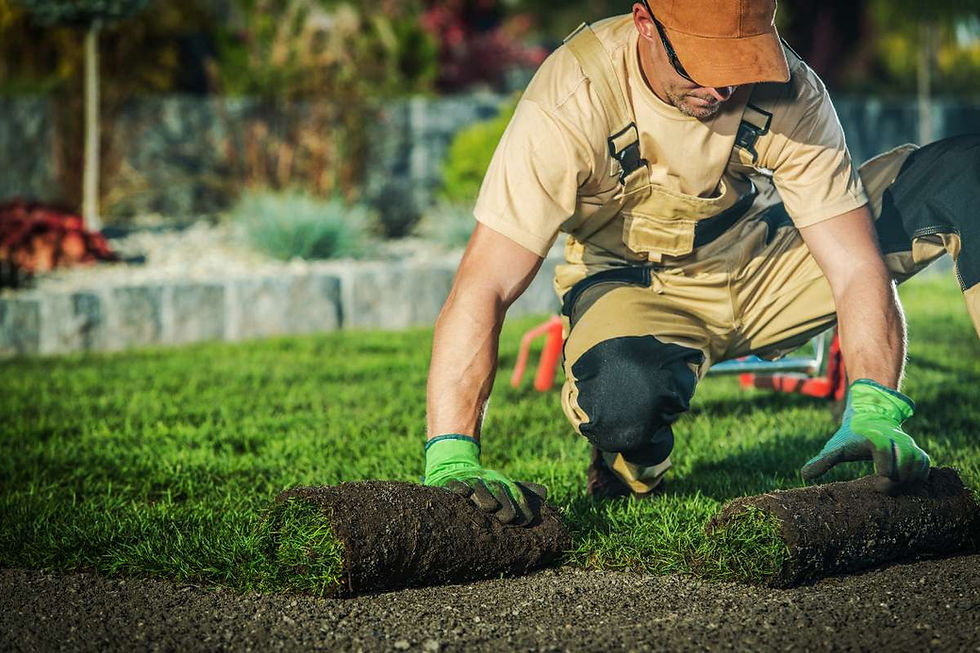 Professional landscaper
