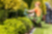 Lake Highlands Landscaping.jpg