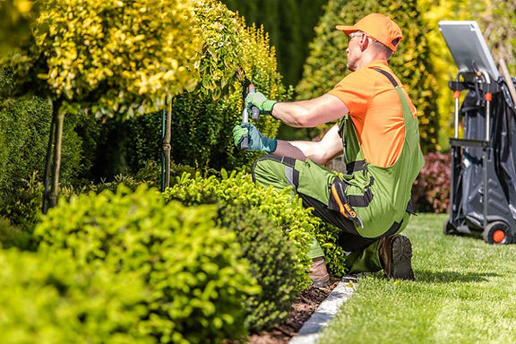 Lake Highlands Landscaping.jpg