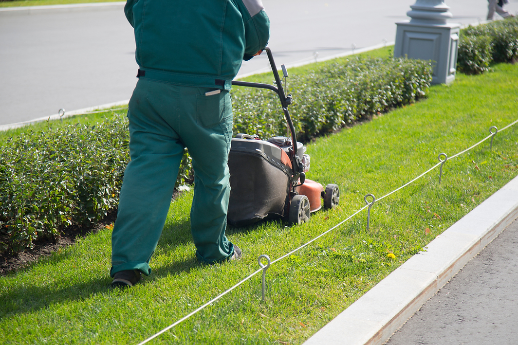 Post-Op Recovery.png