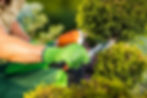 Professional landscapers
