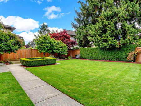 Backyard Landscaping 