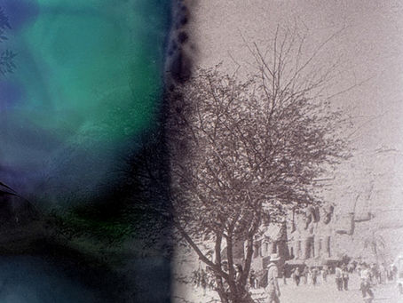 Papiro #01 — o sicômoro que chorou flores