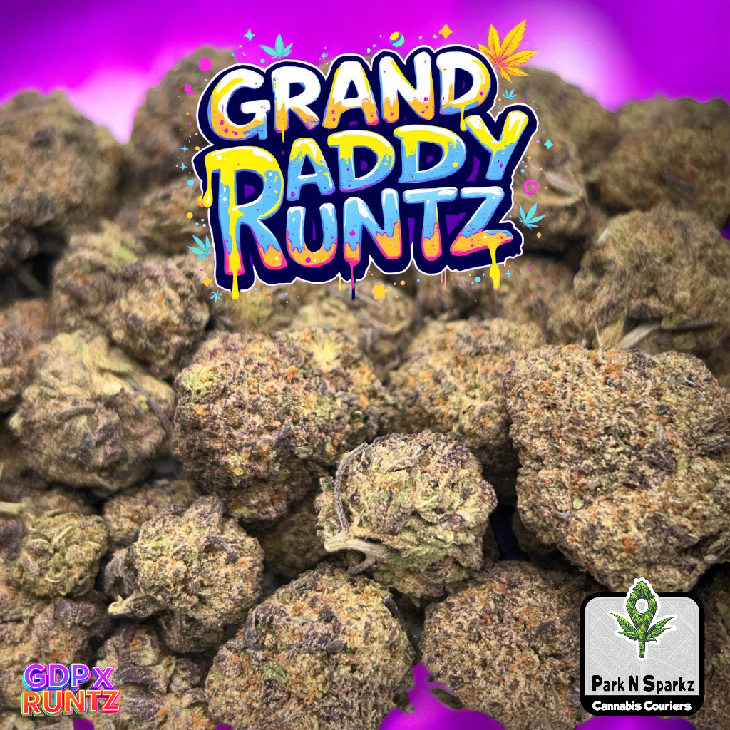 Grand Daddy Runtz 