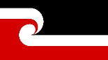 Tino Rangatiratanga Flag-100_edited.jpg