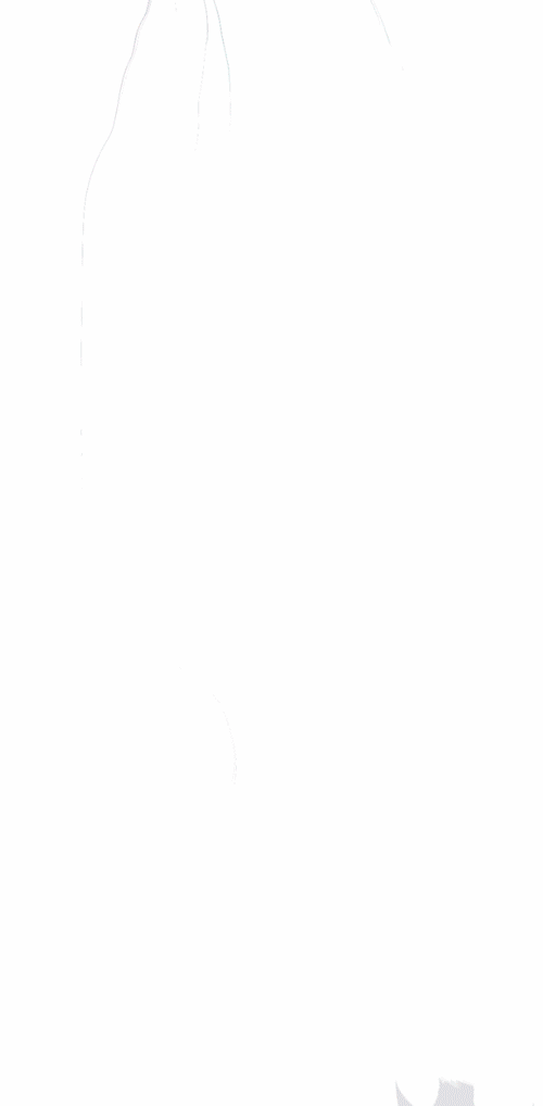 Dip.gif
