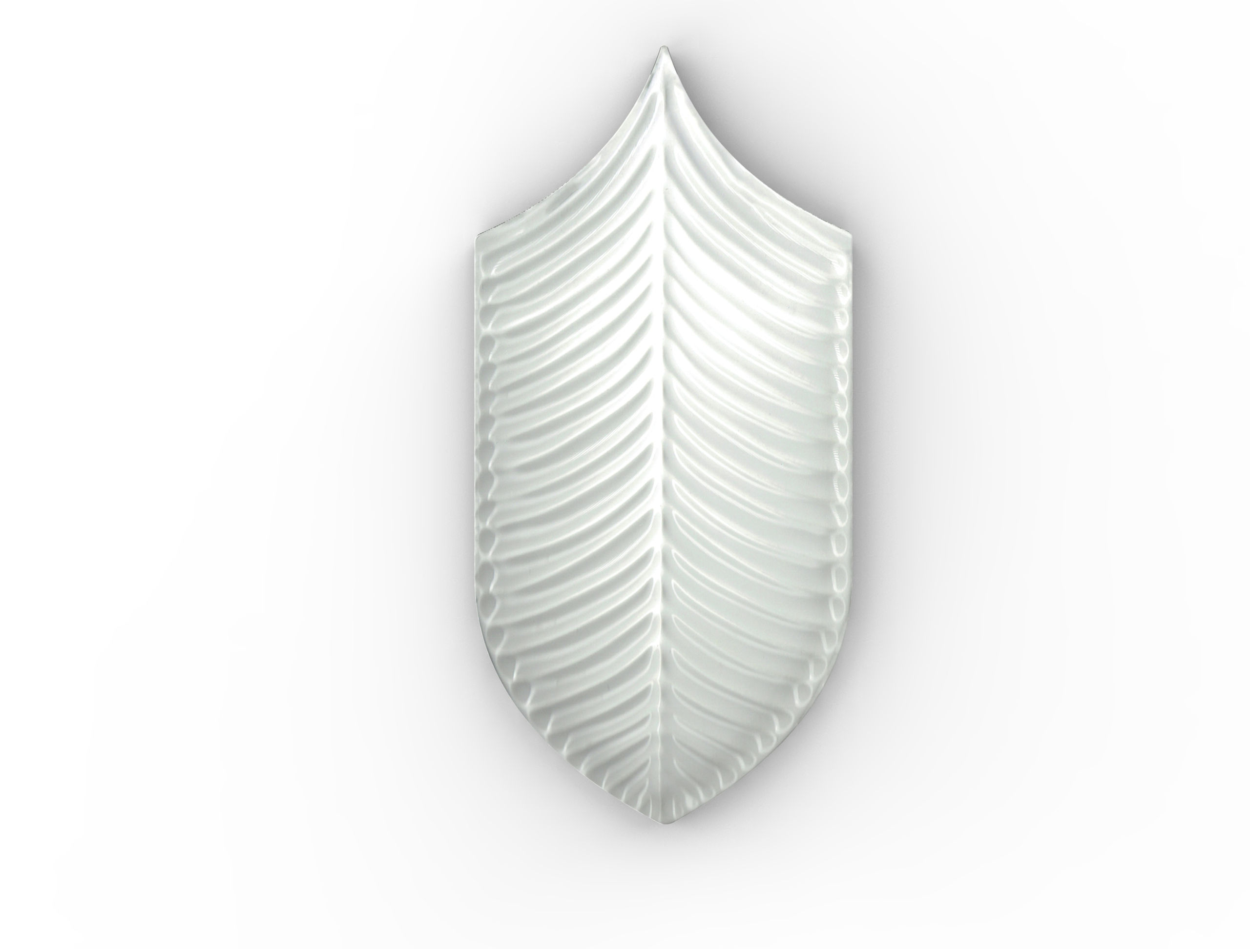 Calathea A10 Bianco Lucido