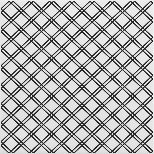 Acquariodue Wonder's Patch WP7 Schwarz W300 20x20.jpg