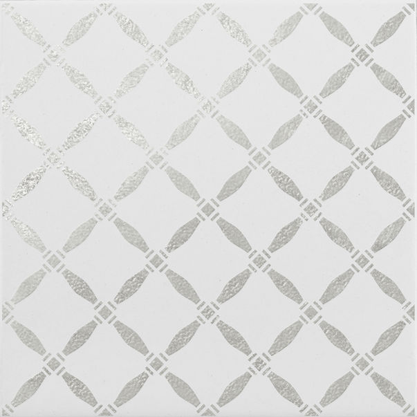 Acquariodue Wonder's Patch WP6 Silver W300 20x20.jpg