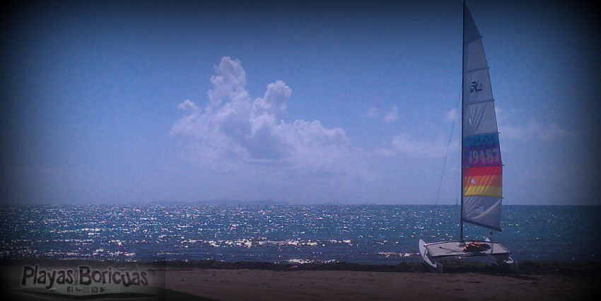 Playa Los Machos Ceiba