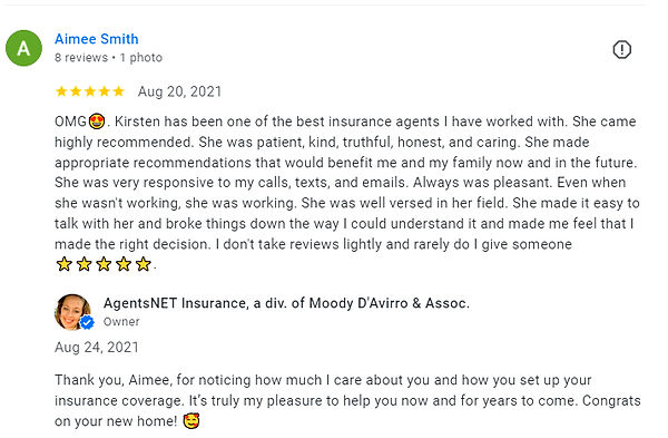 agentsnet Google Rvw 4_edited.