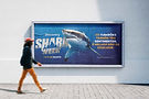 Shark2.jpeg
