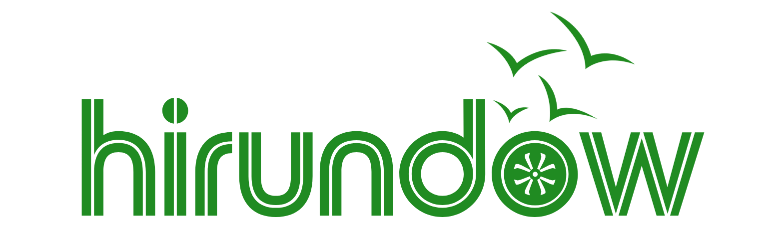 hirundow_logo_edited.png