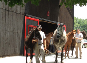 Hermitage - Rich in History & Horses | July 2015